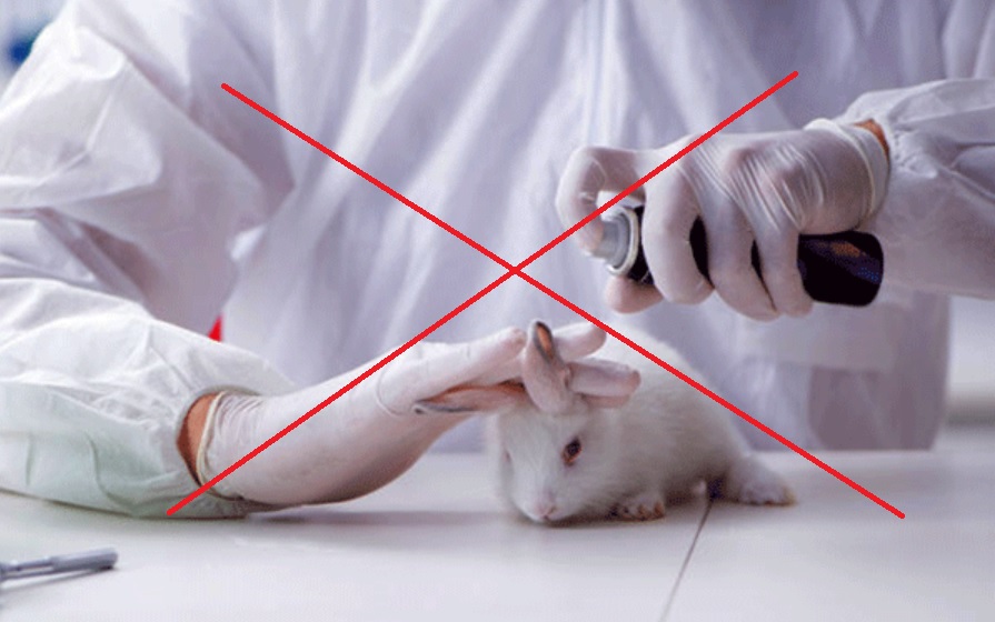 Cruelty free là gì